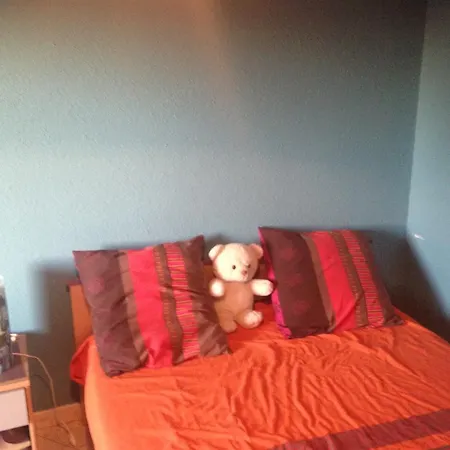 Hébergement de vacances Dans Avec Piscine Privée With Swimming Pool Toulouse